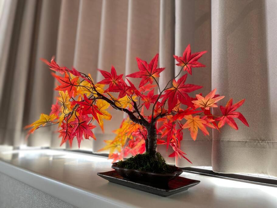 立石5丁目m401 Apartmán *