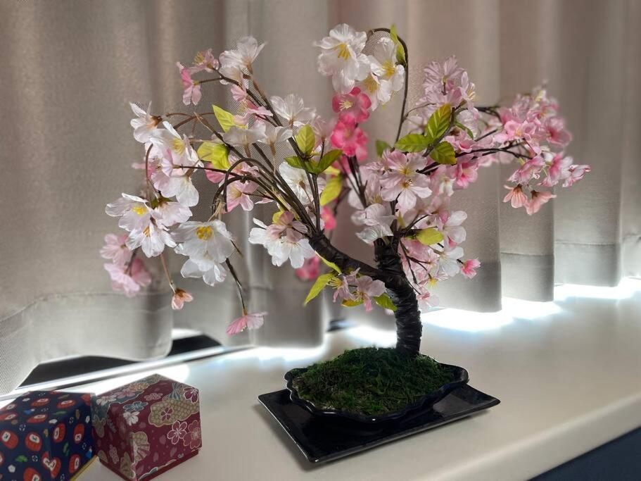 立石5丁目m401 Apartamento *